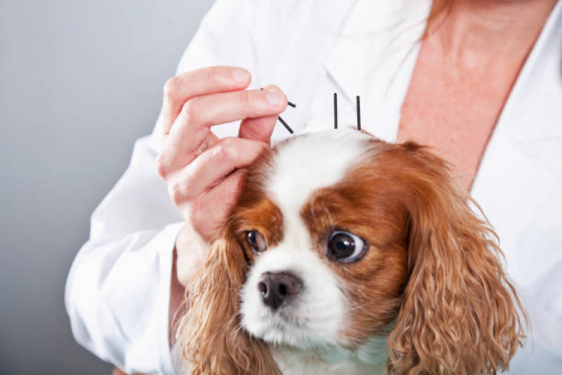 Acupuntura para Dor Lombar Agendar Brás - Acupuntura Estética Facial